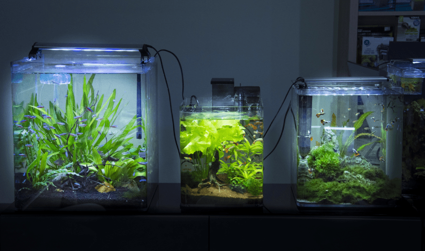 Fish Store And More